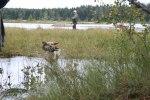 sommaren 2009 238