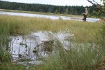 sommaren 2009 241