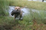 sommaren 2009 244
