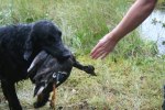sommaren 2009 248