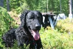sommaren 2009 023
