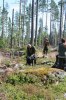sommaren 2009 027