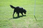 sommaren 2009 040
