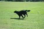sommaren 2009 042
