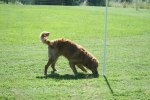 sommaren 2009 043