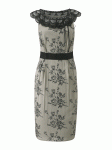 Daisy Dapper