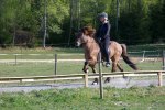 Landi kval på Dirhuvud 191