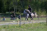 Landi kval på Dirhuvud 172