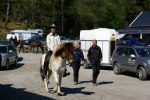 Landi kval på Dirhuvud 010