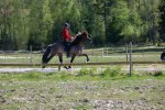 Landi kval på Dirhuvud 047