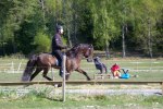 Landi kval på Dirhuvud 156