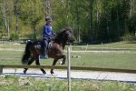 Landi kval på Dirhuvud 109