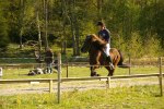 Landi kval på Dirhuvud 152