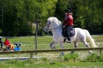 Landi kval på Dirhuvud 139