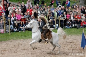 Först i Sverige att rida tornerspel med halsring är Ylwa Roos af Maarila och det Arabiska fullblodet Jeenial ox © Michaela Steindl