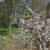 IMG_4265
