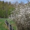 IMG_4280