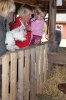 DSC01688