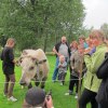IMG_3034