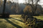 DSC02980