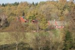 DSC03019