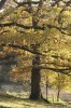 DSC03005