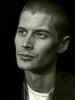 david