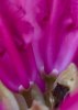 _MG_2732 copy