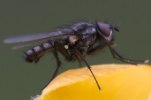 _MG_2711 copy 2