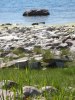 DSCN1348