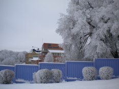 Rimfrost