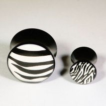 Plugg Zebra