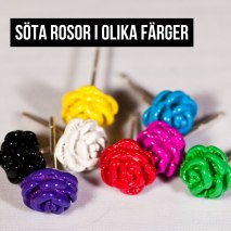 Rosor Olika färger