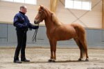 Sól från Sundsberg som 6 åring  Tot: 8,41
