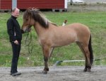 Næla frá Ríp 4 år  Tot: 7,86