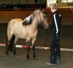Melkorka frá Ási II 5 år Tot: 7,87