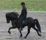 Von frá Ási II 5 år  Tot: 8,0