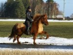 Tira från Skeppargården 4 år Tot 7,63