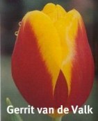 Gerrit van der Valk
