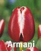 Armani