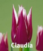 Claudia