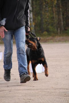 Lena och Bosse