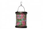 Lantern Pink Flower IND-6701
