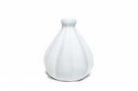 Gastro White