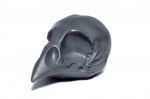 Bird Skull