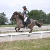 Galopp 