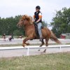 Galopp