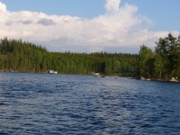 Sommarbild på sjön
