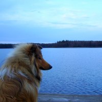 Atlas filosoferar på bryggan