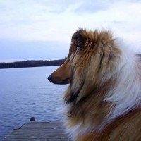 Atlas på bryggan